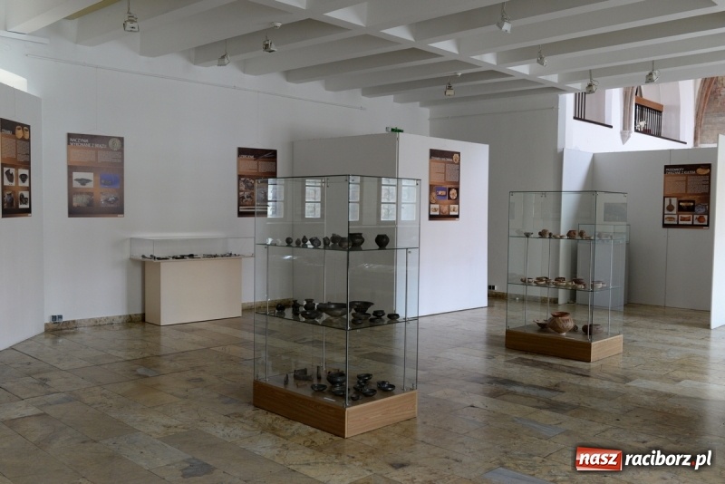 Zdjęcie w galerii na portalu naszraciborz.pl: Domasław – nekropolia arystokracji z wczesnej epoki żelaza w raciborskim muzeum wiadomości z regionu
