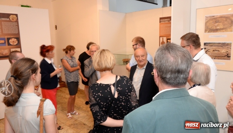 Zdjęcie w galerii na portalu naszraciborz.pl: Domasław – nekropolia arystokracji z wczesnej epoki żelaza w raciborskim muzeum wiadomości z regionu