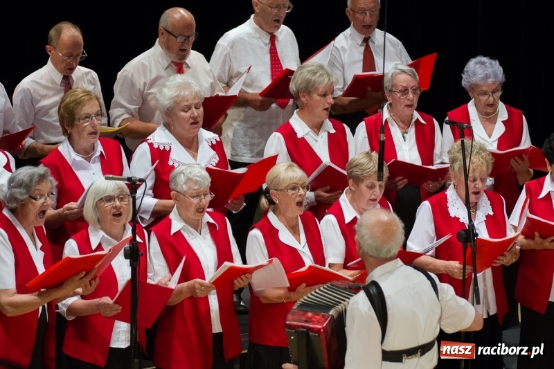 Zdjęcie w galerii na portalu naszraciborz.pl: XXIV Trojok Śląski już za nami  wiadomości z regionu
