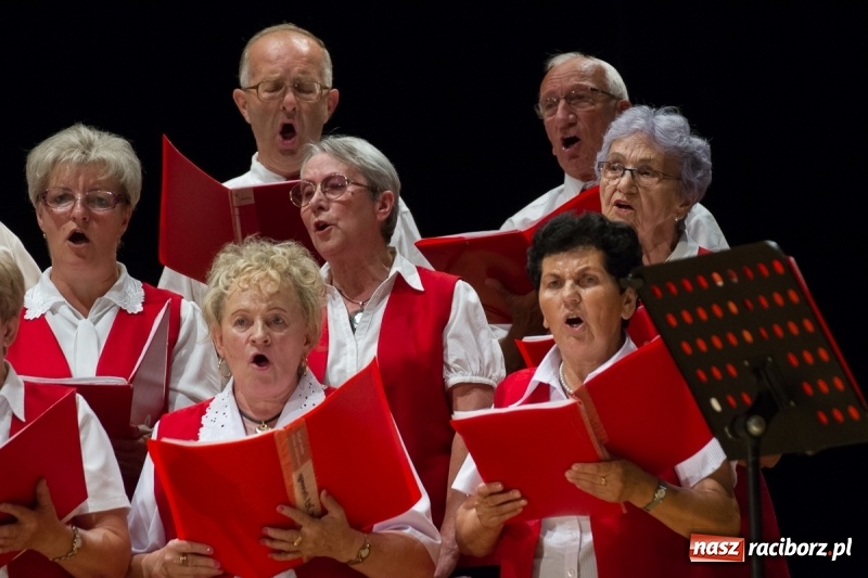 Zdjęcie w galerii na portalu naszraciborz.pl: XXIV Trojok Śląski już za nami  wiadomości z regionu