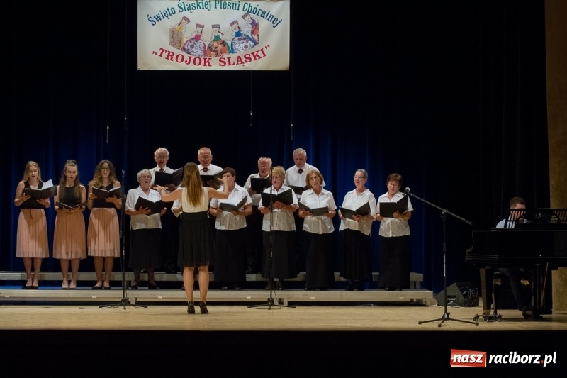 Zdjęcie w galerii na portalu naszraciborz.pl: XXIV Trojok Śląski już za nami  wiadomości z regionu