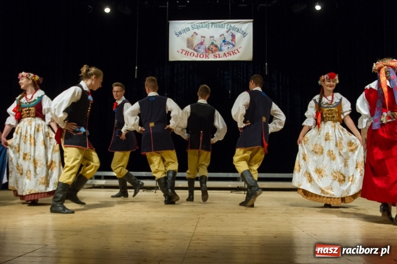 Zdjęcie w galerii na portalu naszraciborz.pl: XXIV Trojok Śląski już za nami  wiadomości z regionu