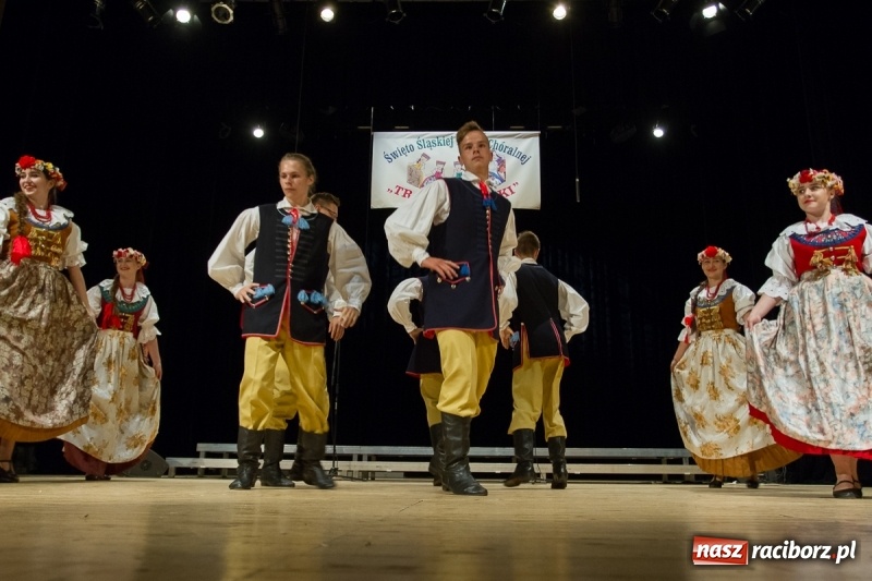 Zdjęcie w galerii na portalu naszraciborz.pl: XXIV Trojok Śląski już za nami  wiadomości z regionu
