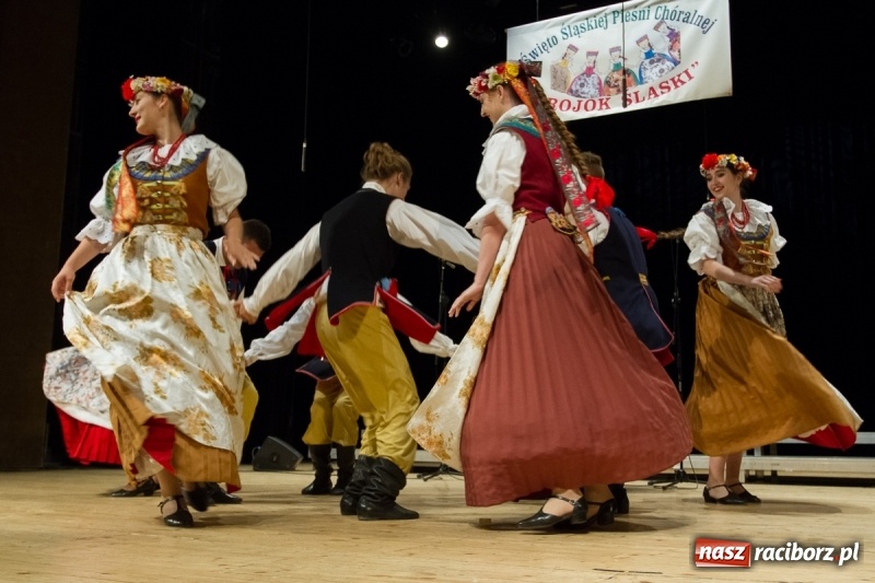 Zdjęcie w galerii na portalu naszraciborz.pl: XXIV Trojok Śląski już za nami  wiadomości z regionu