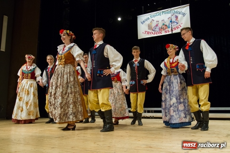 Zdjęcie w galerii na portalu naszraciborz.pl: XXIV Trojok Śląski już za nami  wiadomości z regionu