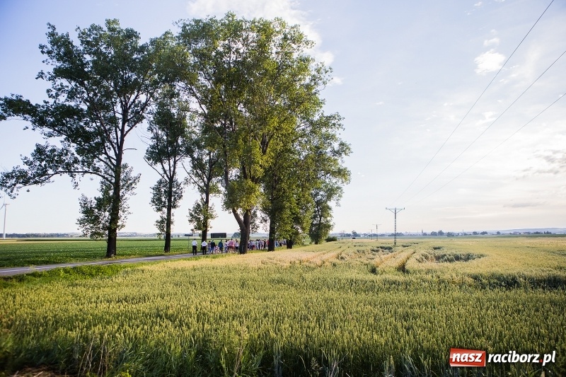 Zdjęcie w galerii na portalu naszraciborz.pl: Pielgrzymka parafii z Bojanowa do Matki Bożej wiadomości z regionu