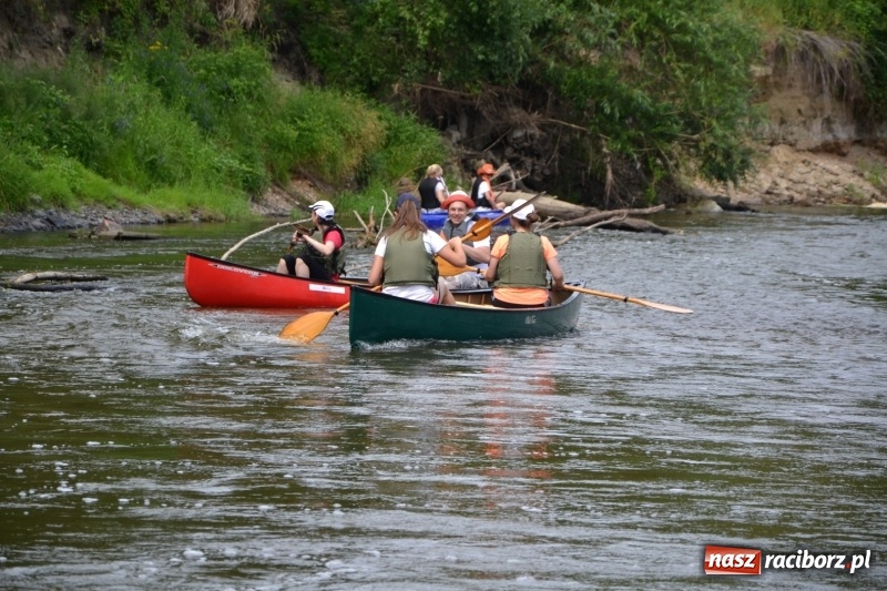 Zdjęcie w galerii na portalu naszraciborz.pl: Odra przyciąga coraz więcej turystów. Krzyżanowice i Bogumin otworzyły dziś nowy sezon na meandrach  wiadomości z regionu