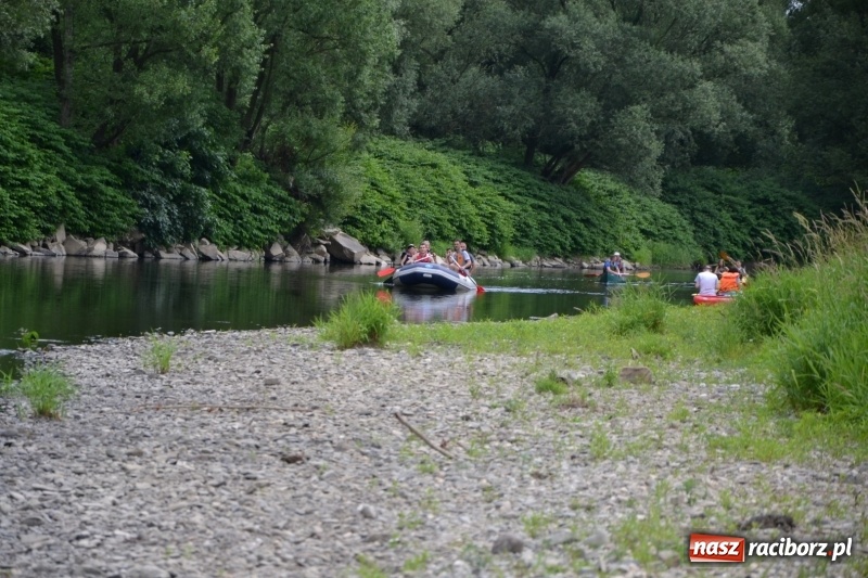 Zdjęcie w galerii na portalu naszraciborz.pl: Odra przyciąga coraz więcej turystów. Krzyżanowice i Bogumin otworzyły dziś nowy sezon na meandrach  wiadomości z regionu
