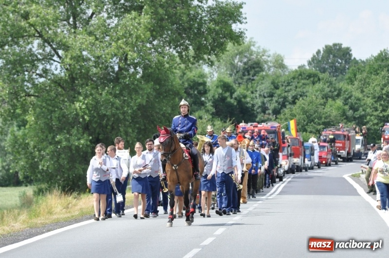 Zdjęcie w galerii na portalu naszraciborz.pl: Parada sikawek konnych w Bieńkowicach wiadomości z regionu