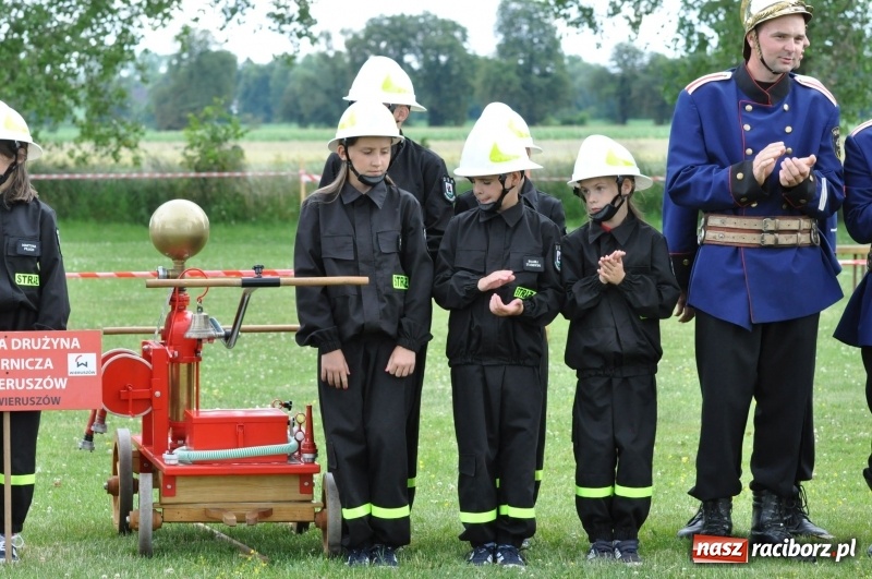 Zdjęcie w galerii na portalu naszraciborz.pl: Parada sikawek konnych w Bieńkowicach wiadomości z regionu