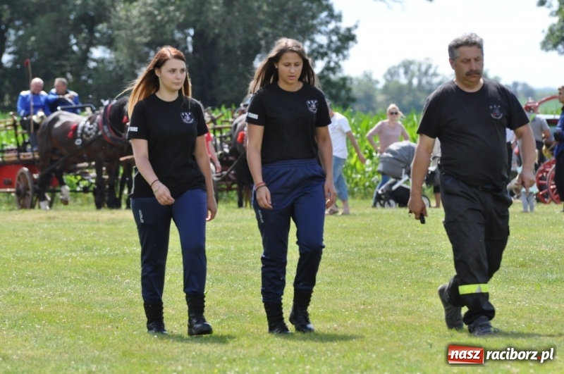 Zdjęcie w galerii na portalu naszraciborz.pl: Parada sikawek konnych w Bieńkowicach wiadomości z regionu