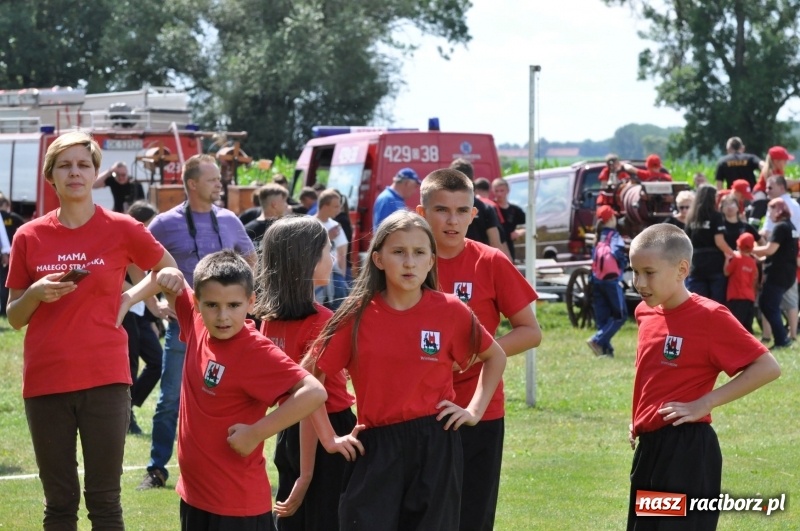 Zdjęcie w galerii na portalu naszraciborz.pl: Parada sikawek konnych w Bieńkowicach wiadomości z regionu