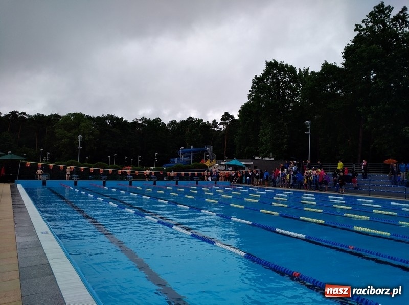 Zdjęcie w galerii na portalu naszraciborz.pl: Pływanie. Dobre starty raciborzan w Puławach wiadomości z regionu