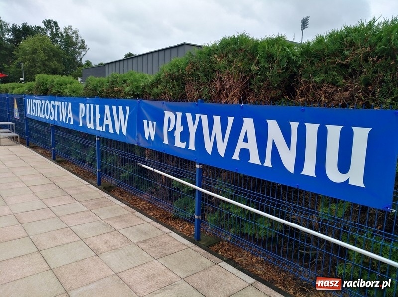 Zdjęcie w galerii na portalu naszraciborz.pl: Pływanie. Dobre starty raciborzan w Puławach wiadomości z regionu