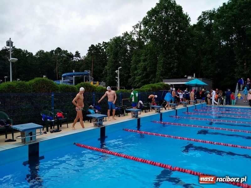 Zdjęcie w galerii na portalu naszraciborz.pl: Pływanie. Dobre starty raciborzan w Puławach wiadomości z regionu