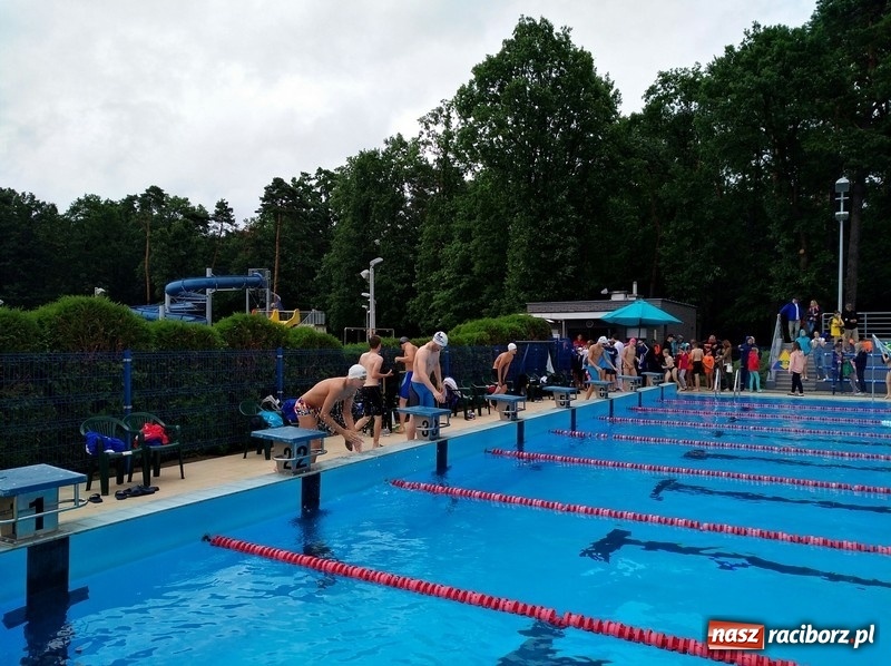 Zdjęcie w galerii na portalu naszraciborz.pl: Pływanie. Dobre starty raciborzan w Puławach wiadomości z regionu