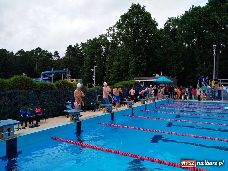 Zdjęcie w galerii na portalu naszraciborz.pl: Pływanie. Dobre starty raciborzan w Puławach wiadomości z regionu