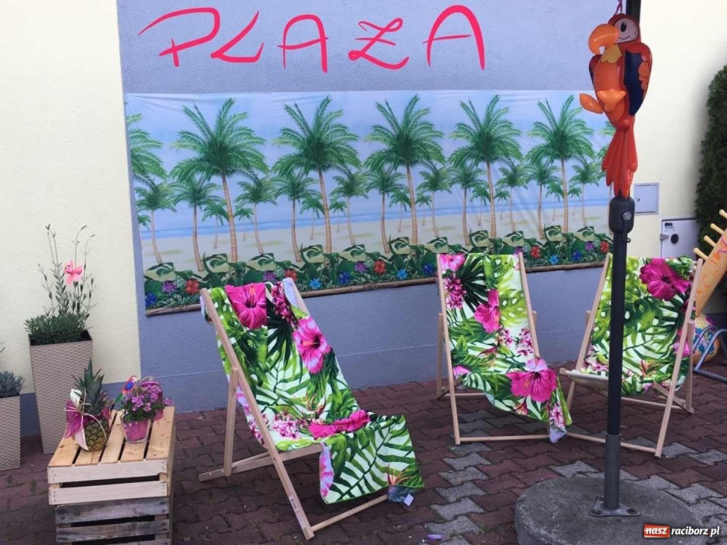 Zdjęcie w galerii na portalu naszraciborz.pl: Club Endorfina przywitał lato wiadomości z regionu