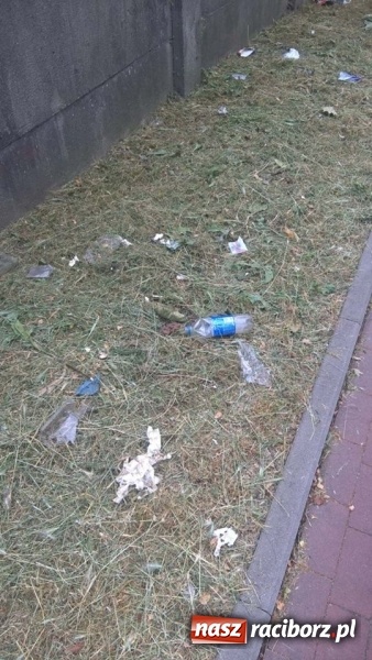 Zdjęcie w galerii na portalu naszraciborz.pl: W mieście brakuje śmietników. Efektem są zaśmiecone trawniki  wiadomości z regionu