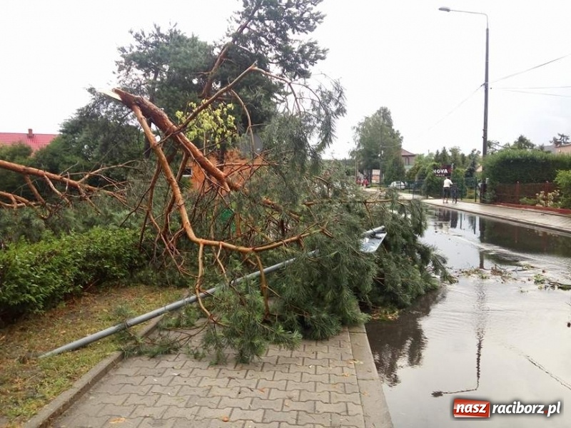 Zdjęcie w galerii na portalu naszraciborz.pl: Zniszczenia po nawałnicy w gminie Kuźnia Raciborska i Nędza wiadomości z regionu