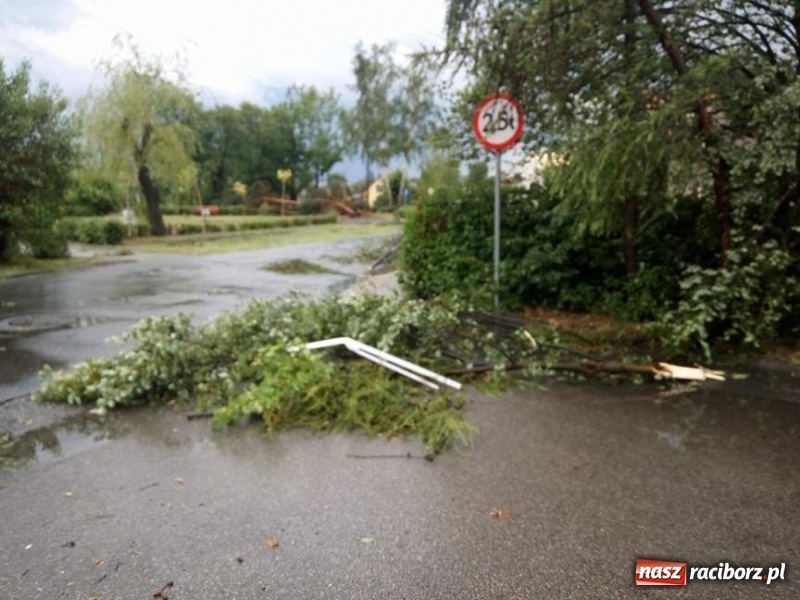 Zdjęcie w galerii na portalu naszraciborz.pl: Zniszczenia po nawałnicy w gminie Kuźnia Raciborska i Nędza wiadomości z regionu