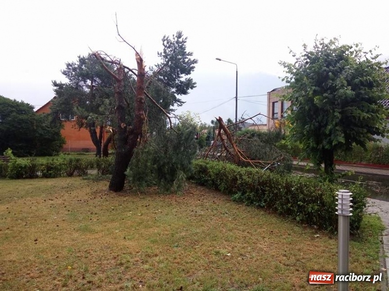 Zdjęcie w galerii na portalu naszraciborz.pl: Zniszczenia po nawałnicy w gminie Kuźnia Raciborska i Nędza wiadomości z regionu