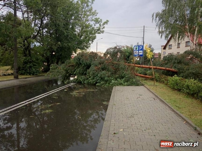 Zdjęcie w galerii na portalu naszraciborz.pl: Zniszczenia po nawałnicy w gminie Kuźnia Raciborska i Nędza wiadomości z regionu