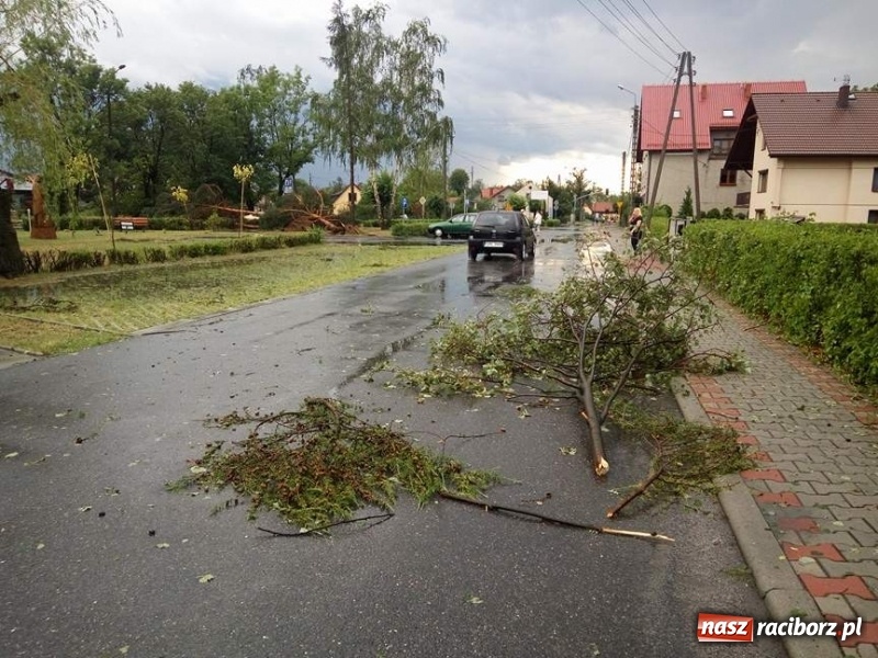 Zdjęcie w galerii na portalu naszraciborz.pl: Zniszczenia po nawałnicy w gminie Kuźnia Raciborska i Nędza wiadomości z regionu