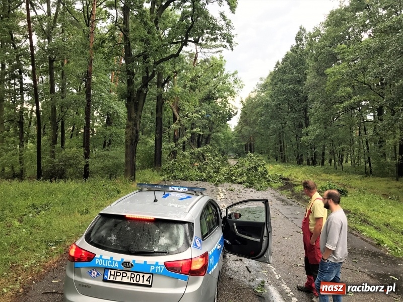 Zdjęcie w galerii na portalu naszraciborz.pl: Zniszczenia po nawałnicy w gminie Kuźnia Raciborska i Nędza wiadomości z regionu