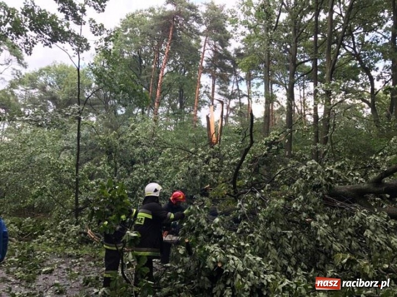 Zdjęcie w galerii na portalu naszraciborz.pl: Zniszczenia po nawałnicy w gminie Kuźnia Raciborska i Nędza wiadomości z regionu