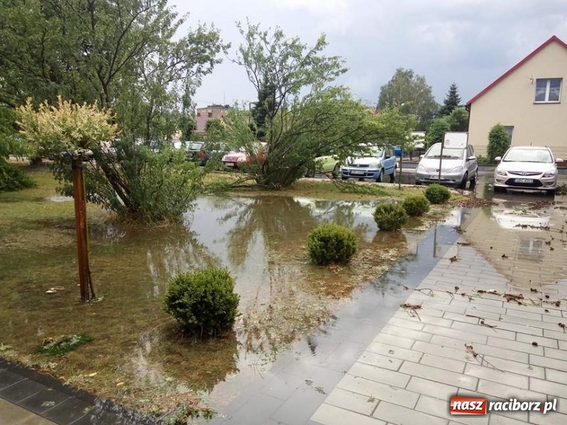 Zdjęcie w galerii na portalu naszraciborz.pl: Zniszczenia po nawałnicy w gminie Kuźnia Raciborska i Nędza wiadomości z regionu