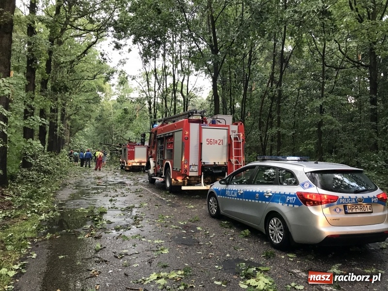Zdjęcie w galerii na portalu naszraciborz.pl: Zniszczenia po nawałnicy w gminie Kuźnia Raciborska i Nędza wiadomości z regionu
