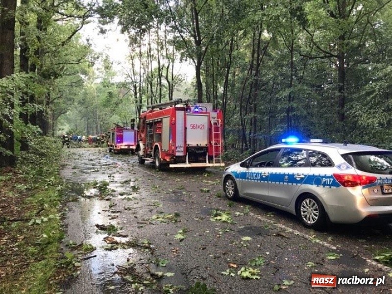 Zdjęcie w galerii na portalu naszraciborz.pl: Zniszczenia po nawałnicy w gminie Kuźnia Raciborska i Nędza wiadomości z regionu