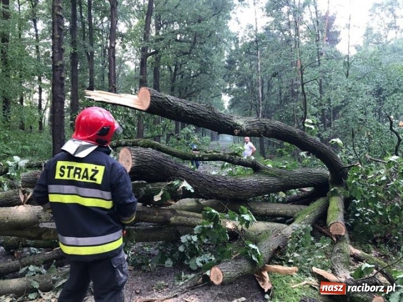 Zdjęcie w galerii na portalu naszraciborz.pl: Zniszczenia po nawałnicy w gminie Kuźnia Raciborska i Nędza wiadomości z regionu