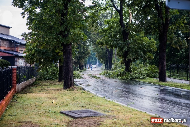 Zdjęcie w galerii na portalu naszraciborz.pl: Zniszczenia po nawałnicy w gminie Kuźnia Raciborska i Nędza wiadomości z regionu