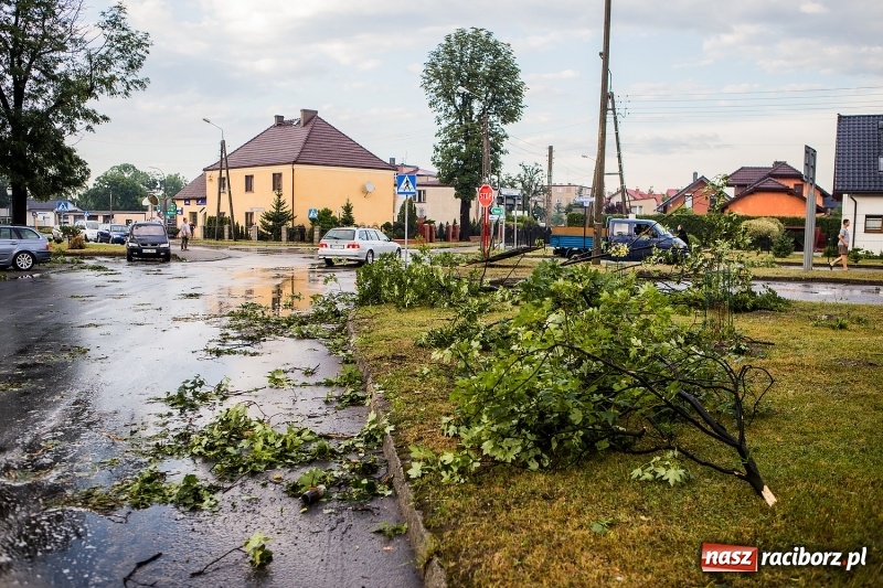 Zdjęcie w galerii na portalu naszraciborz.pl: Zniszczenia po nawałnicy w gminie Kuźnia Raciborska i Nędza wiadomości z regionu
