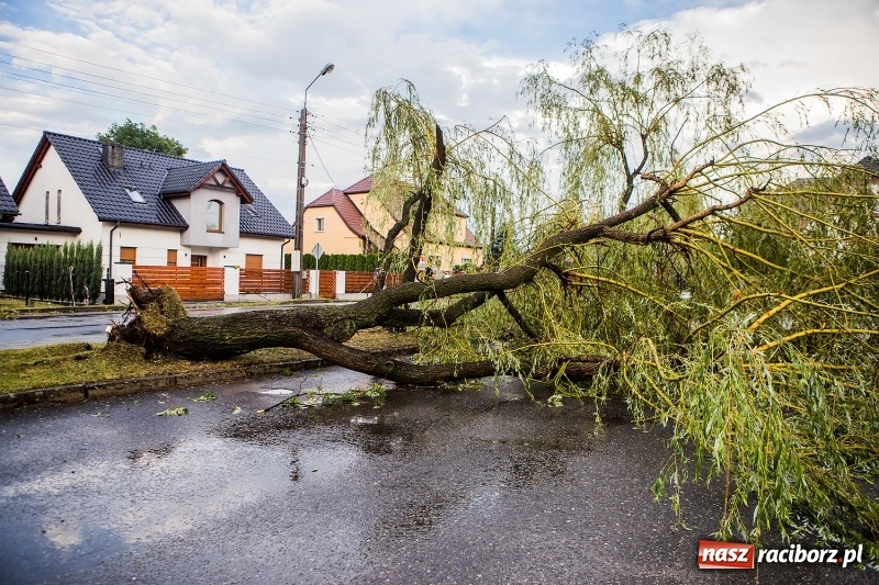 Zdjęcie w galerii na portalu naszraciborz.pl: Zniszczenia po nawałnicy w gminie Kuźnia Raciborska i Nędza wiadomości z regionu