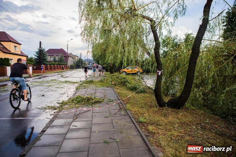 Zdjęcie w galerii na portalu naszraciborz.pl: Zniszczenia po nawałnicy w gminie Kuźnia Raciborska i Nędza wiadomości z regionu