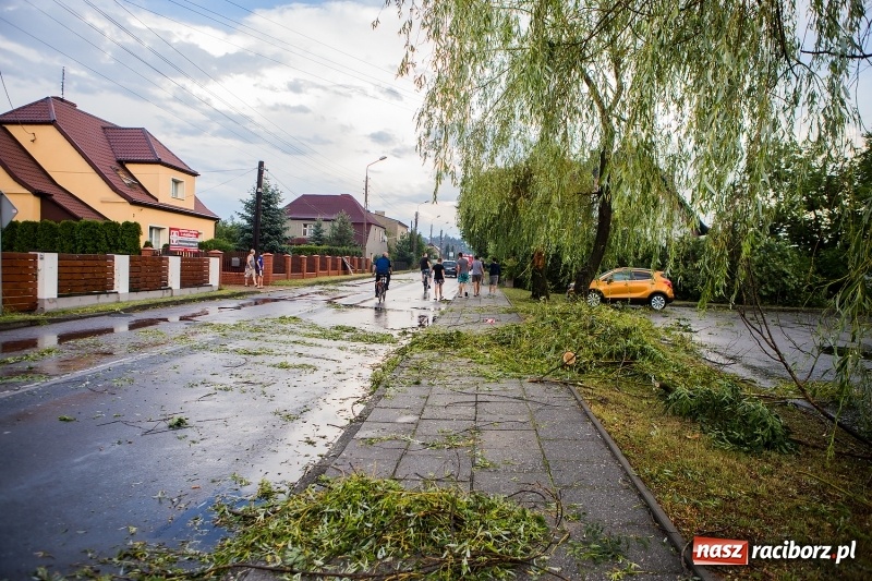 Zdjęcie w galerii na portalu naszraciborz.pl: Zniszczenia po nawałnicy w gminie Kuźnia Raciborska i Nędza wiadomości z regionu