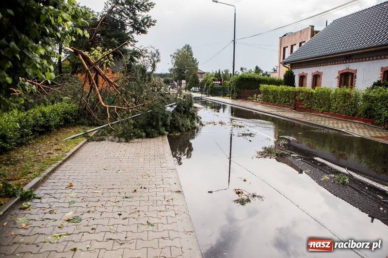Zdjęcie w galerii na portalu naszraciborz.pl: Zniszczenia po nawałnicy w gminie Kuźnia Raciborska i Nędza wiadomości z regionu