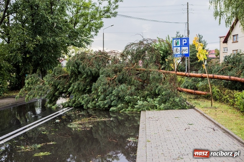 Zdjęcie w galerii na portalu naszraciborz.pl: Zniszczenia po nawałnicy w gminie Kuźnia Raciborska i Nędza wiadomości z regionu