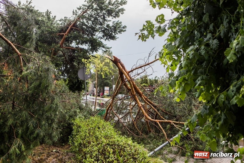 Zdjęcie w galerii na portalu naszraciborz.pl: Zniszczenia po nawałnicy w gminie Kuźnia Raciborska i Nędza wiadomości z regionu
