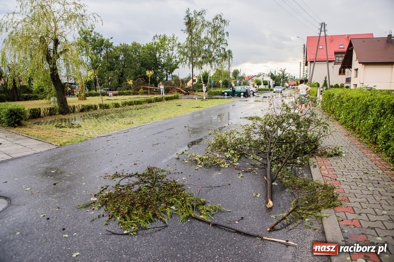 Zdjęcie w galerii na portalu naszraciborz.pl: Zniszczenia po nawałnicy w gminie Kuźnia Raciborska i Nędza wiadomości z regionu
