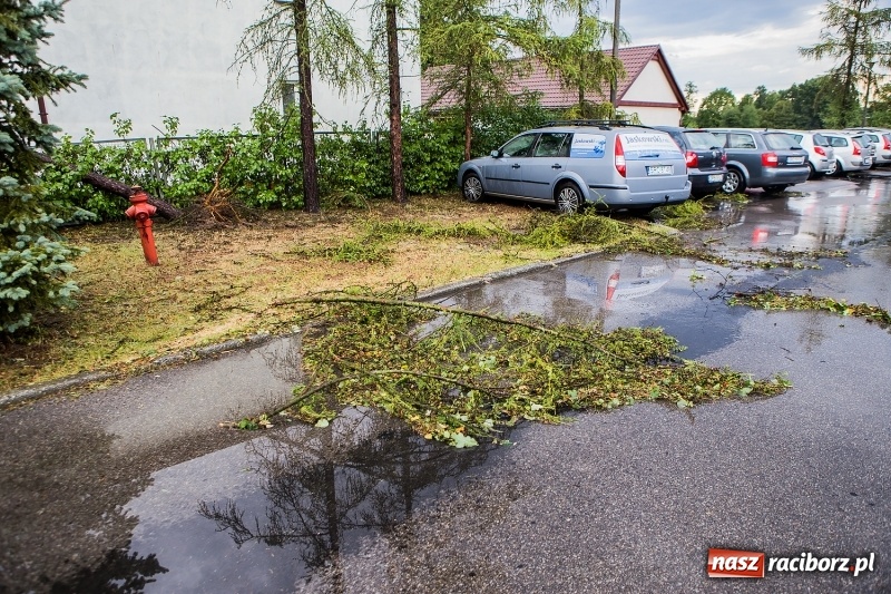 Zdjęcie w galerii na portalu naszraciborz.pl: Zniszczenia po nawałnicy w gminie Kuźnia Raciborska i Nędza wiadomości z regionu