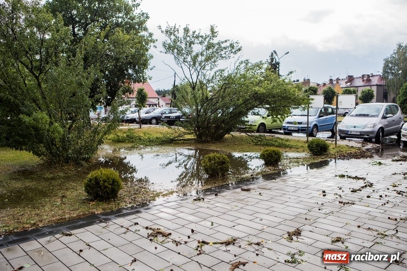 Zdjęcie w galerii na portalu naszraciborz.pl: Zniszczenia po nawałnicy w gminie Kuźnia Raciborska i Nędza wiadomości z regionu