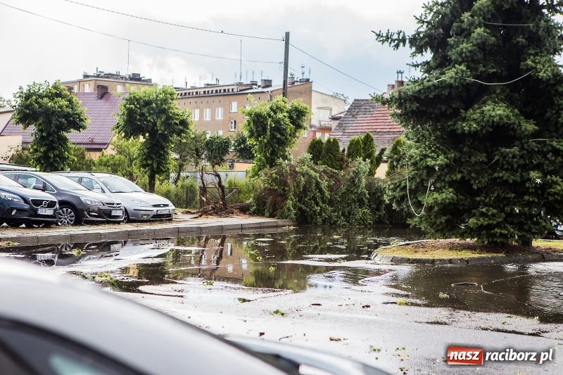 Zdjęcie w galerii na portalu naszraciborz.pl: Zniszczenia po nawałnicy w gminie Kuźnia Raciborska i Nędza wiadomości z regionu