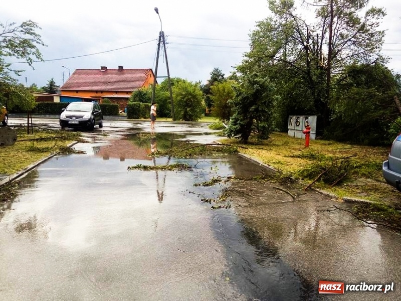 Zdjęcie w galerii na portalu naszraciborz.pl: Zniszczenia po nawałnicy w gminie Kuźnia Raciborska i Nędza wiadomości z regionu