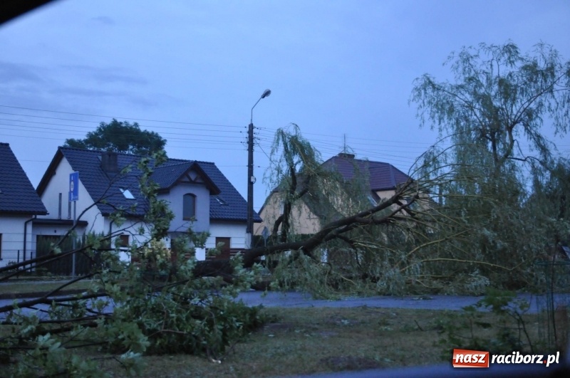 Zdjęcie w galerii na portalu naszraciborz.pl: Kuźnia Raciborska - miasto po Armagedonie wiadomości z regionu