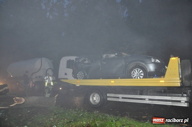 Zdjęcie w galerii na portalu naszraciborz.pl: Kuźnia Raciborska - miasto po Armagedonie wiadomości z regionu