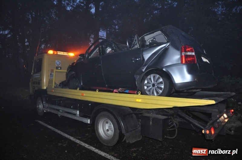 Zdjęcie w galerii na portalu naszraciborz.pl: Kuźnia Raciborska - miasto po Armagedonie wiadomości z regionu